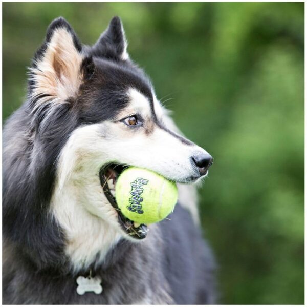 KONG Air Dog Squeaker Tennis Ball X-Large - 1 Pack - Pack of 4 - Image 2