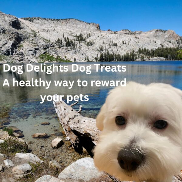 Chewy Lamb Stick Dog Treats, 35 Ounce - Image 3