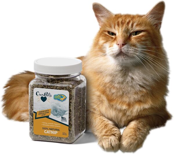 Our Pets Premium Catnip - 2.25 oz Jar of High Potency Catnip - 100% North American Grown - Image 2