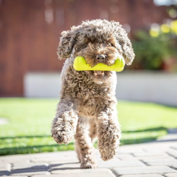 Hyper Pet Fetching Dog Toys - Throwing Bone Toy Made of EVA Foam - Lightweight & Floats on Water - Image 7