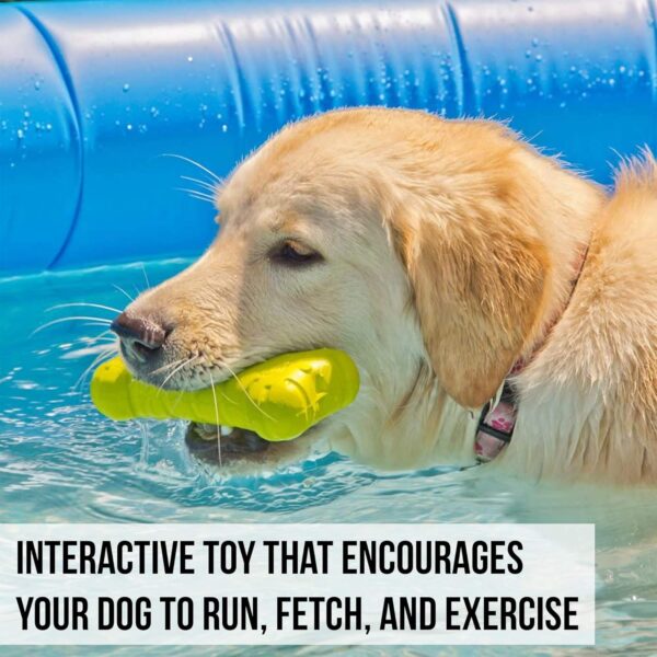 Hyper Pet Fetching Dog Toys - Throwing Bone Toy Made of EVA Foam - Lightweight & Floats on Water - Image 6