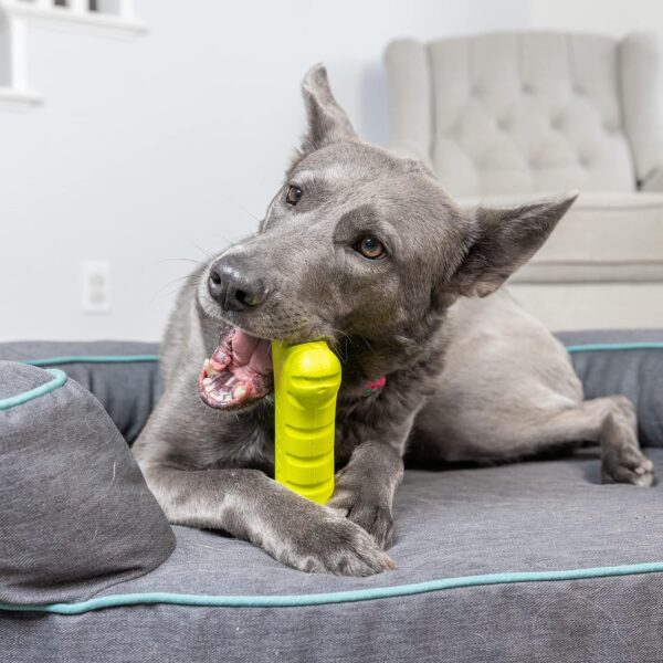 Hyper Pet Fetching Dog Toys - Throwing Bone Toy Made of EVA Foam - Lightweight & Floats on Water - Image 4